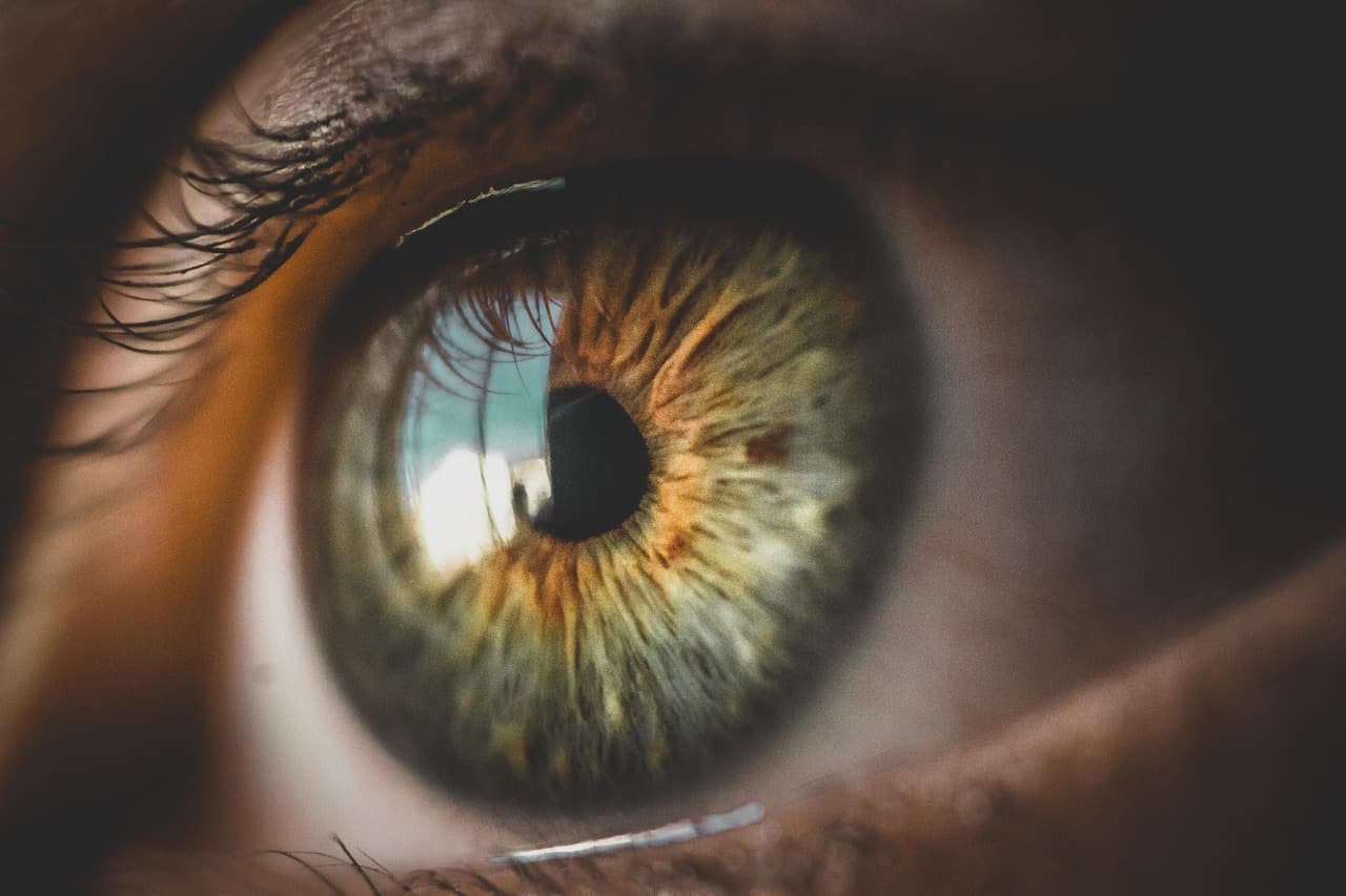 An eye in close-up, green and amber iris, the upper lashes curling into the light